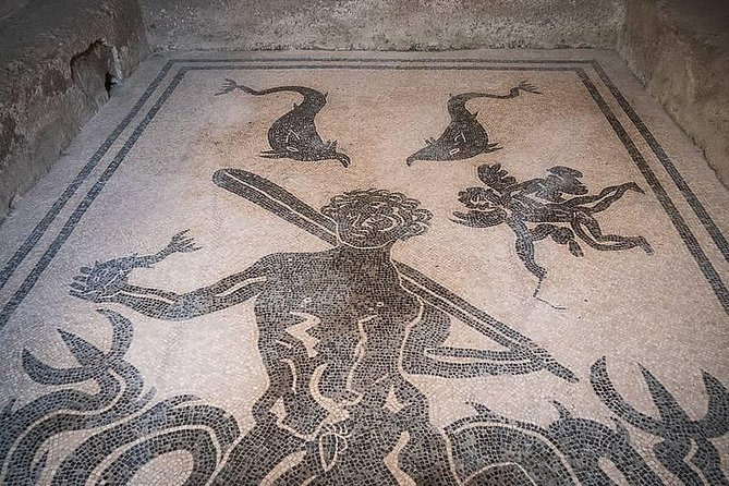 Private Guided Tour of Pompeii and Herculaneum - Admission tickets and the real cost of the day