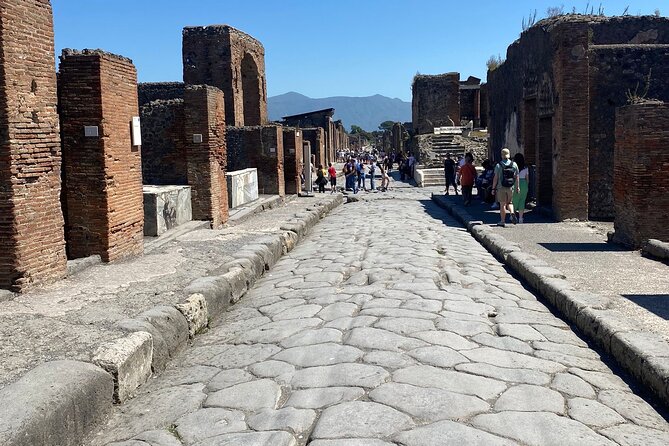 Private Guided Tour of Pompeii Excavations - Porta Marina Superiore Meeting: Quick start, less stress