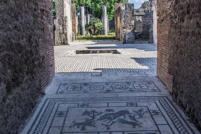 Private Guided Tour of Pompeii. Sunset Tour - Roman homes, mosaics, and the darker corners of Pompeii