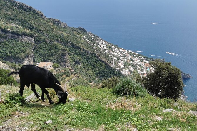 Private Guided Tour to the Path of the Gods - Half day - Logistics that can make or break your hike day
