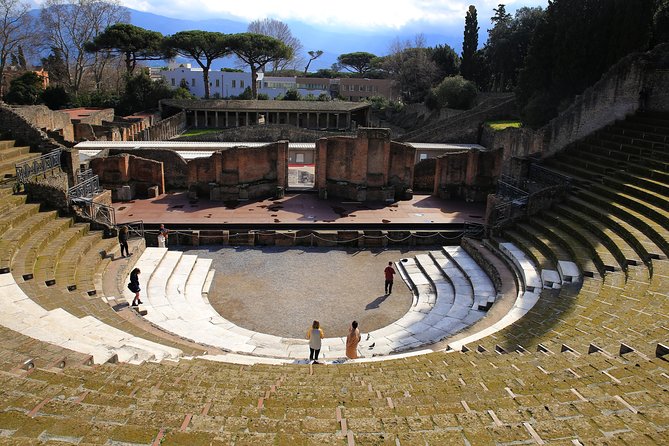 Private Half-Day Tour of The Pompeii Ruins Highlights and Mann - Pompeii Archaeological Park: your first hour of “where am I?”