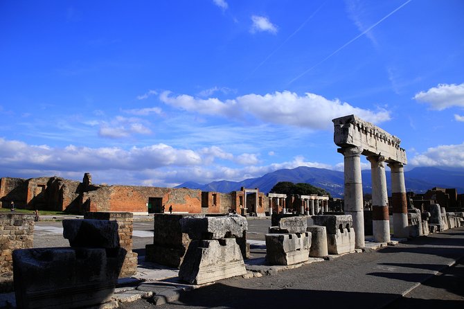 Private Half-Day Tour of The Pompeii Ruins Highlights and Mann - Price and logistics: what you pay for, and what you must arrange