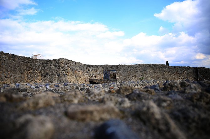 Private Half-Day Tour of The Pompeii Ruins Highlights and Mann - Who should book this private half-day tour