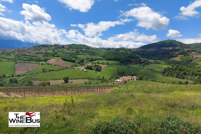 Private Irpinia Wine Tour from POSITANO, AMALFI or RAVELLO - Key Things to Know Before You Go