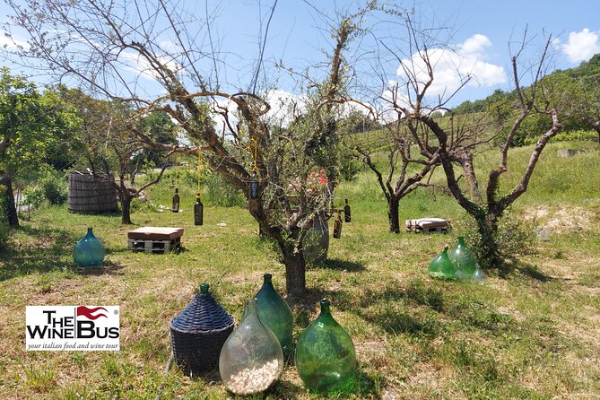 Private Irpinia Wine Tour from Sorrento with sommelier - Setting expectations: what Irpinia feels like from Sorrento