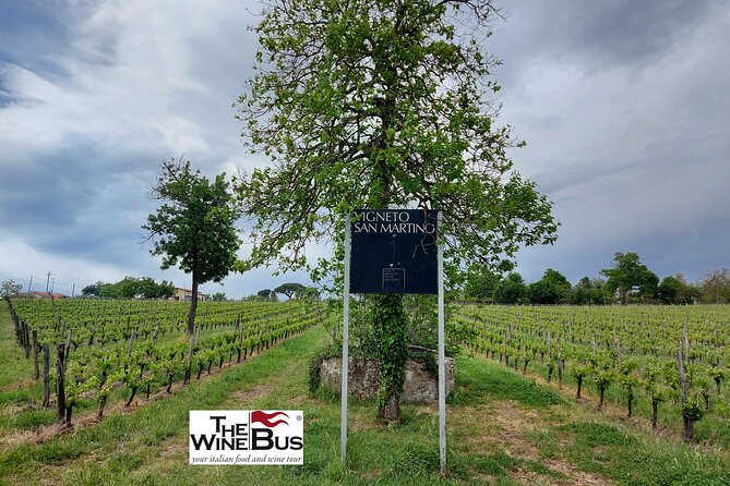 Private Irpinia Wine Tour from Sorrento with sommelier - Cantine Antonio Caggiano in the Taurasi area: tunnels, tools, and a first tasting