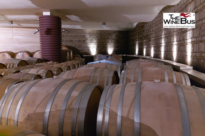 Private Irpinia Wine Tour from Sorrento with sommelier - Feudi di San Gregorio in Sorbo Serpico: learning in historical vineyards