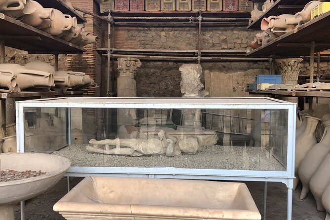 Private Pompeii and Herculaneum Day Tour with Pick Up - Who should book, and who should consider a different plan