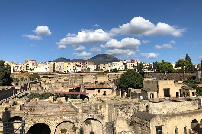 Private Pompeii and Herculaneum with Wine Tasting - Full Tickets - Cantina del Vesuvio: lunch, wine, and Vesuvius views without the crater drive