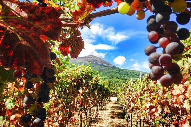 Private Pompeii and Vesuvius with Wine Tasting and Full Tickets - The Market and the Bath: Food, Routine, and Social Life