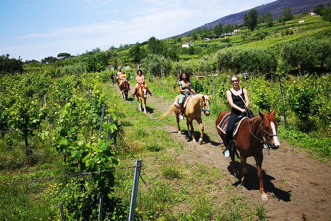 Private Pompeii, Horse Riding & Lunch Tour w/ Pick up included - After Pompeii: Winery Terrace Views and a Five-Wine Tasting Lunch