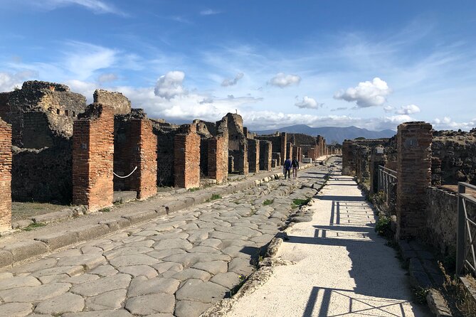 Private Pompeii Tour with lunch and Olive Oil Factory Experience - Transport, Group Size, and the Private-Tour Factor