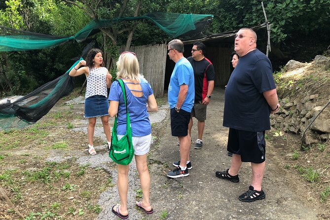 Private Pompeii Tour with lunch and Olive Oil Factory Experience - Price and Value: What You Pay, What You Still Need
