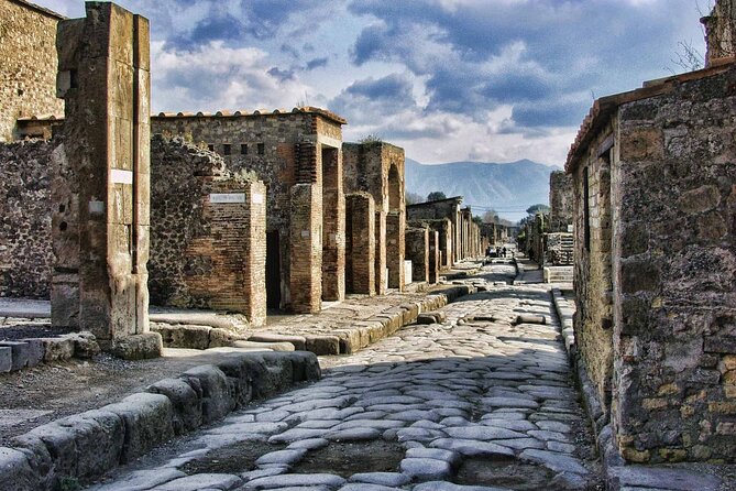 Private Pompeii Tour with Organic Wine Tasting & Lunch - Key highlights to know before you go