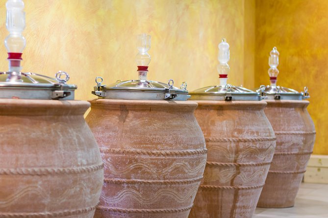 Private Pompeii Tour with Organic Wine Tasting & Lunch - Who should book this private tour, and who might not love it