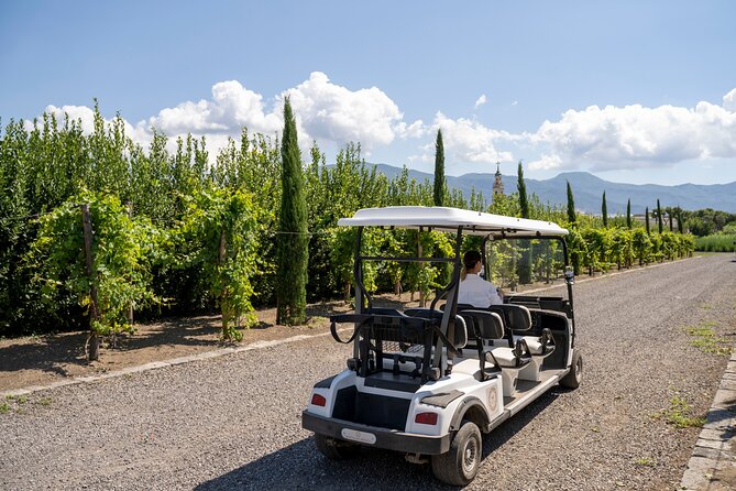 Private Pompeii Tour with Organic Wine Tasting & Lunch - Should you book this Pompeii tour with organic wine tasting and lunch?