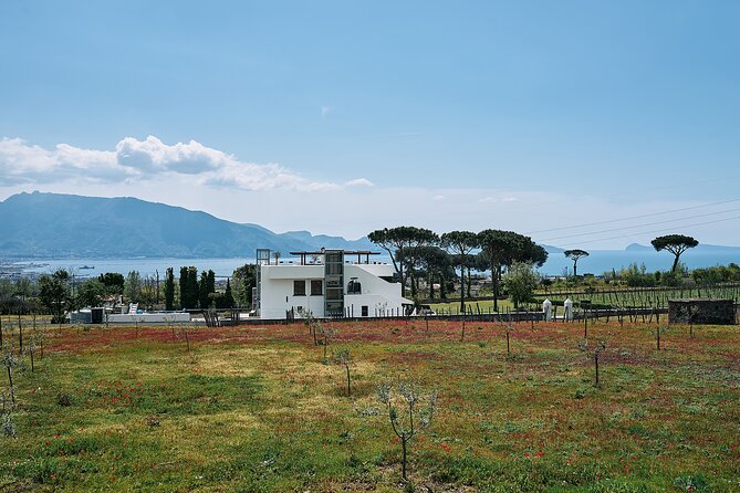 Private Pompeii Tour with Wine Tasting Experience - Sorrento return: time to land the story