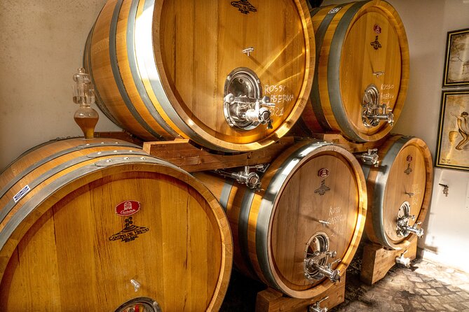 Private Pompeii Tour with Wine Tasting Experience - The Pompeii stop: skip-the-line plus an archaeologist guide