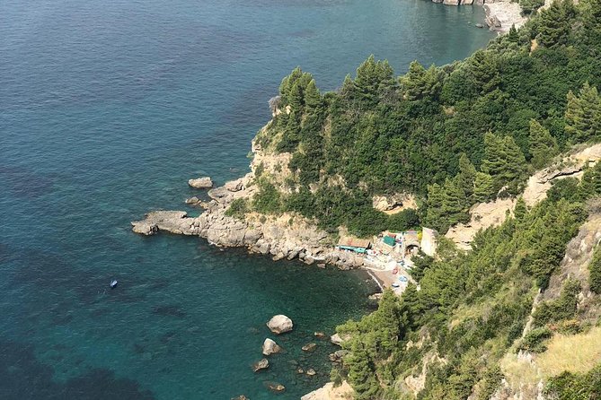 Private Shore Excursion from Naples to Pompeii, Sorrento and Positano - Who this Naples to Pompeii, Sorrento, and Positano tour suits