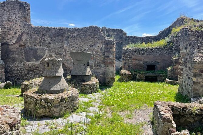 Private Skip The Line Archeo Tour Of Pompeii - What makes this private tour feel different
