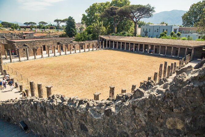 Private Skip-the-Line Pompeii & Mt. Vesuvius Tour from Positano - Drivers and guides make or break the day