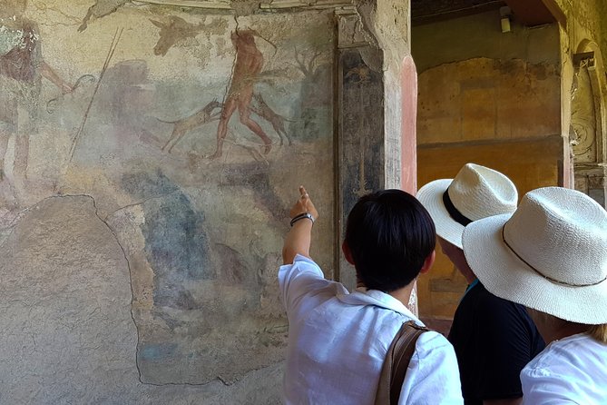 Private Skip-the-Line Pompeii & Mt. Vesuvius Tour from Positano - Should you book this Pompeii and Vesuvius tour from Positano?