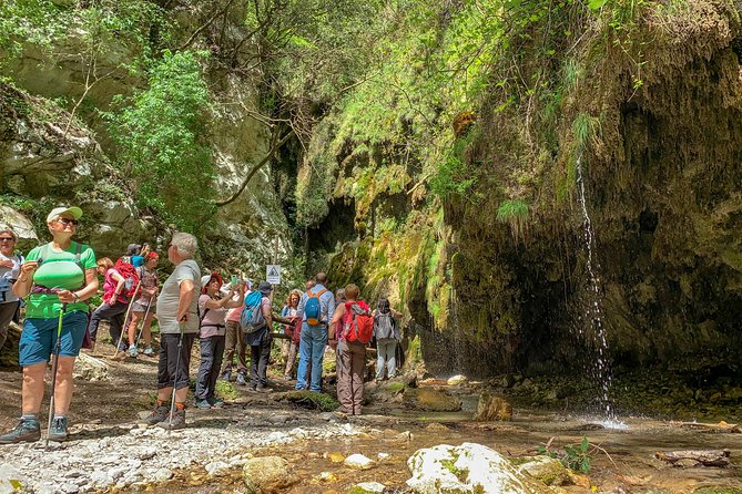 Private Tour: Amalfi Valle delle Ferriere Nature Reserve Walking Tour - The stair reality: shoes, pacing, and knee-friendly choices