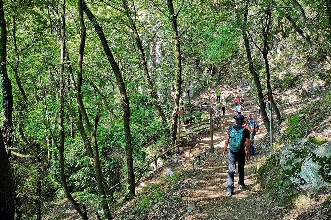 Private Tour: Amalfi Valle delle Ferriere Nature Reserve Walking Tour - Why a licensed private guide is worth it here