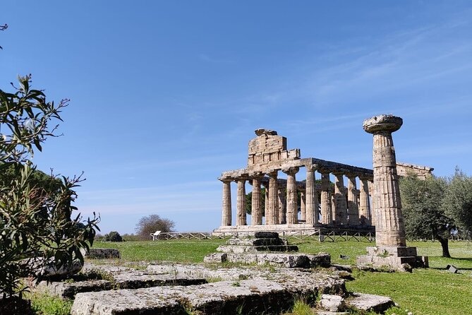 Private Tour from Sorrento/Positano to Paestum and Mozzarella tour - The Sorrento or Positano drive: How to make 7 to 8 hours feel comfortable