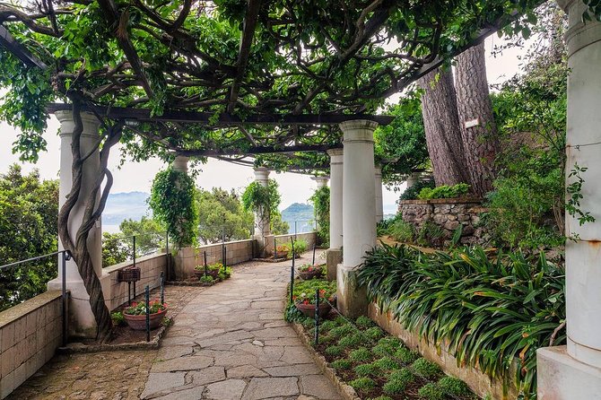 Private Tour of Capri and Anacapri From Sorrento - Augustus Park with a garden guide: short stop, strong payoff
