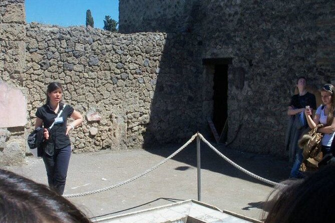 Private tour of the Pompeii excavations - Who this tour suits best at Pompeii