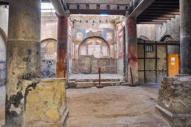 Private Tour Pompeii and Herculaneum - Driver vs. professional guide: the detail that can change your day