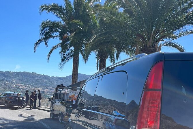 Private Tour Pompeii and Sorrento from Naples - Meeting points and the Naples pickup detail that matters