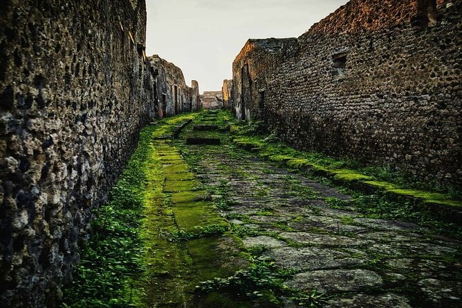 Private Tour Pompeii and Sorrento from Naples - Crowds, cruise-ship traffic, and the real timing check