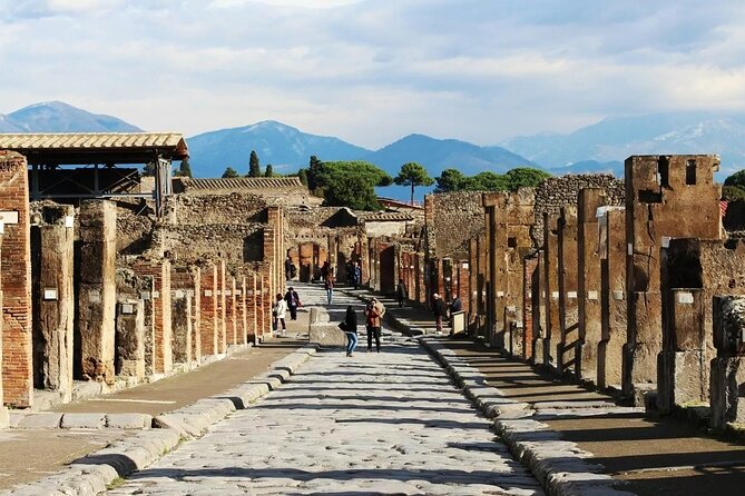 Private Tour Pompeii and Sorrento from Naples - Who this Pompeii and Sorrento private tour is best for