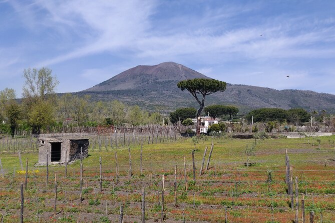 Private Tour Pompeii, Vesuvius and Herculaneum - Herculaneum After Pompeii: Smaller Ruins, Stronger Sense of Daily Life