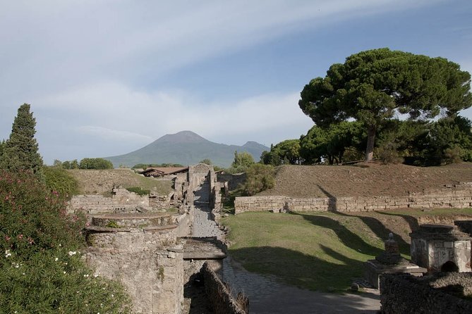 Private tour Pompeii Vesuvius and Winery from Sorrento - Stop 1: Pompeii Archaeological Park in your own rhythm