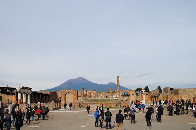 Private tour Pompeii Vesuvius and Winery from Sorrento - Stop 2: The walk to Vesuvius crater rim, tickets and timing