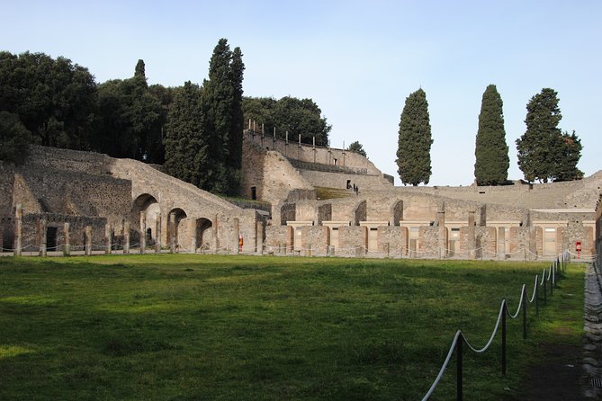 Private tour Pompeii Vesuvius and Winery from Sorrento - Drivers, guides, and how the day stays friendly
