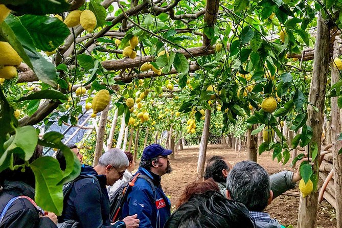 Private Tour: The Path of the Lemons - Key things to know before you start
