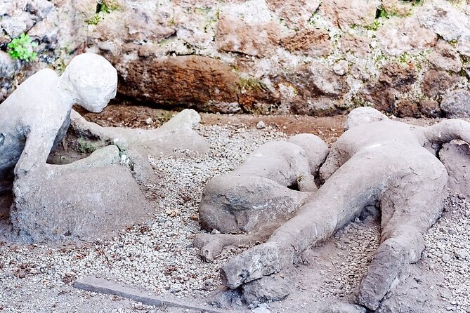 Private Tour to Pompei Sorrento and Positano with English speaking Driver/Guide - Pompeii entry, guided walking, and skip-the-line time saving