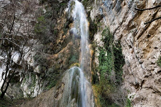 Private Tour Walking in Ferriere Valley Nature Reserve Amalfi - Stop 1: Ancient plant colonies, survival in the valley