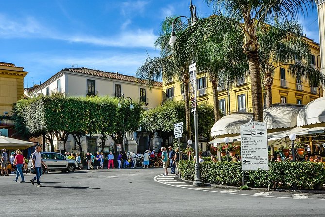 Private Transfer from Sorrento or Amalfi coast to Naples or vice versa - Key Highlights You Should Know