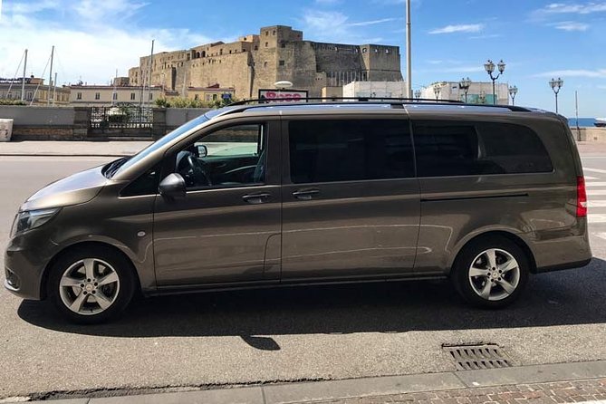Private transfer Praiano to Naples - Arriving in Naples: Where You Can Be Dropped