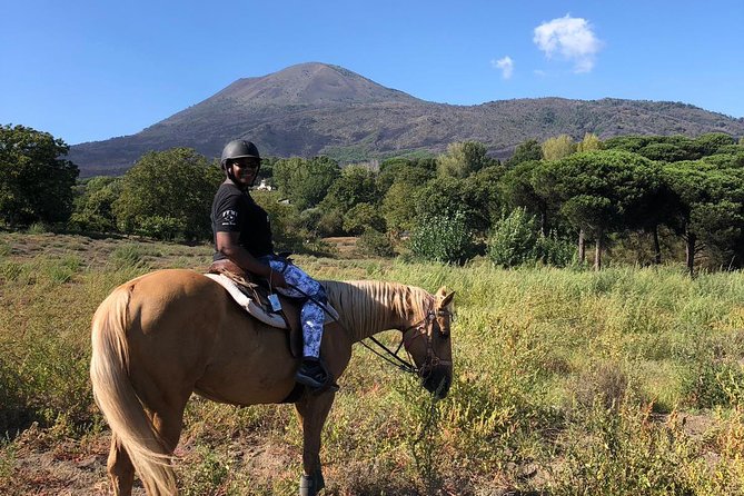 Scenic Horseback Ride, Wine Tasting & Lunch on Mt. Vesuvius - Key highlights you should care about