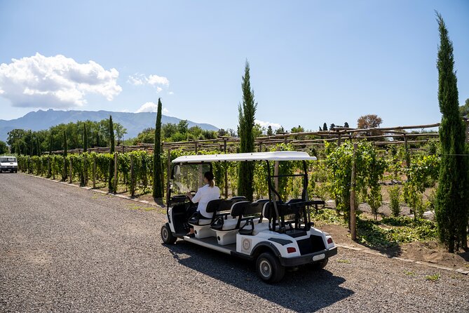 Seafood Lunch & Wine Tasting with Scenic Golf Cart Tour - Key highlights you will care about