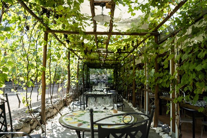 Seafood Lunch & Wine Tasting with Scenic Golf Cart Tour - When to schedule it in your Pompeii day