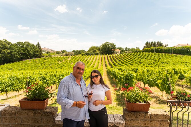 Sella delle Spine Taurasi: Tasting, Vineyard and Cellar Tour - Key highlights you should not miss