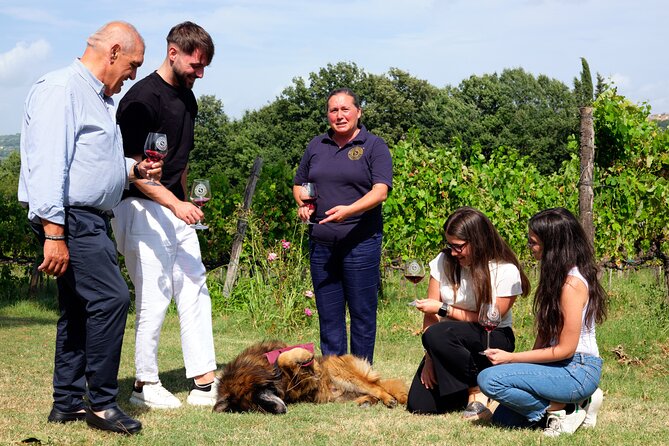 Sella delle Spine Taurasi: Tasting, Vineyard and Cellar Tour - The three DOCG tastings and their food pairings