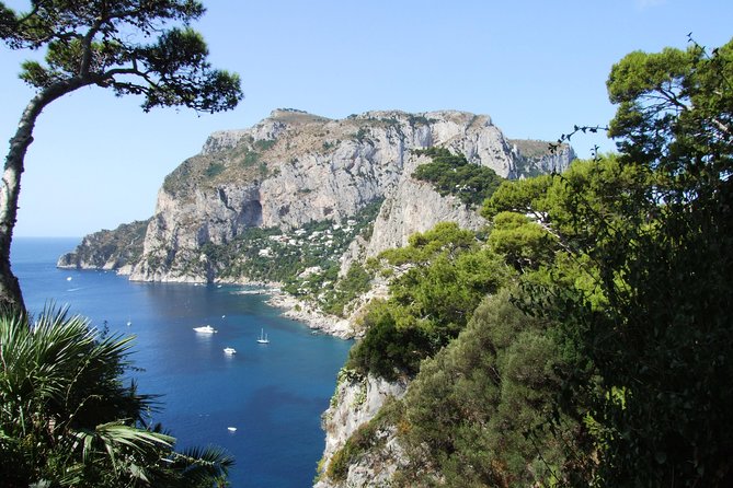 Shared Capri & Anacapri Full-Day Tour from Sorrento - Jet Boat Day Trips From Sorrento: The “fast start” effect